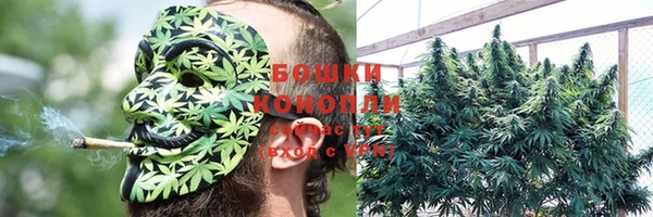 ECSTASY Армянск