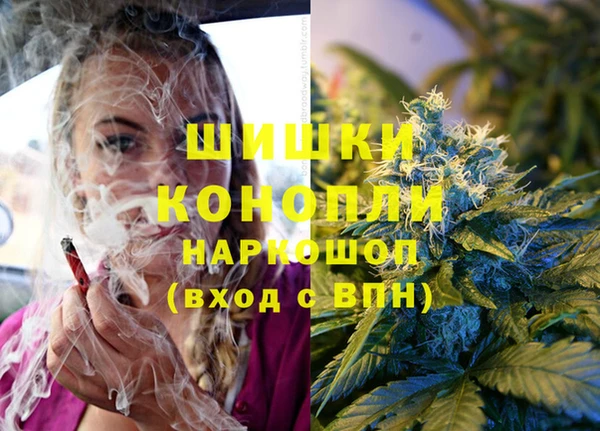 ECSTASY Армянск