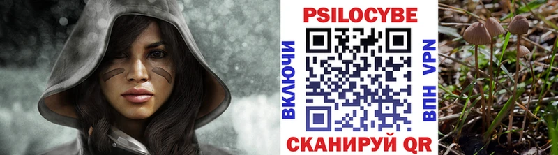 darknet формула  Долгопрудный  Псилоцибиновые грибы Psilocybine cubensis 